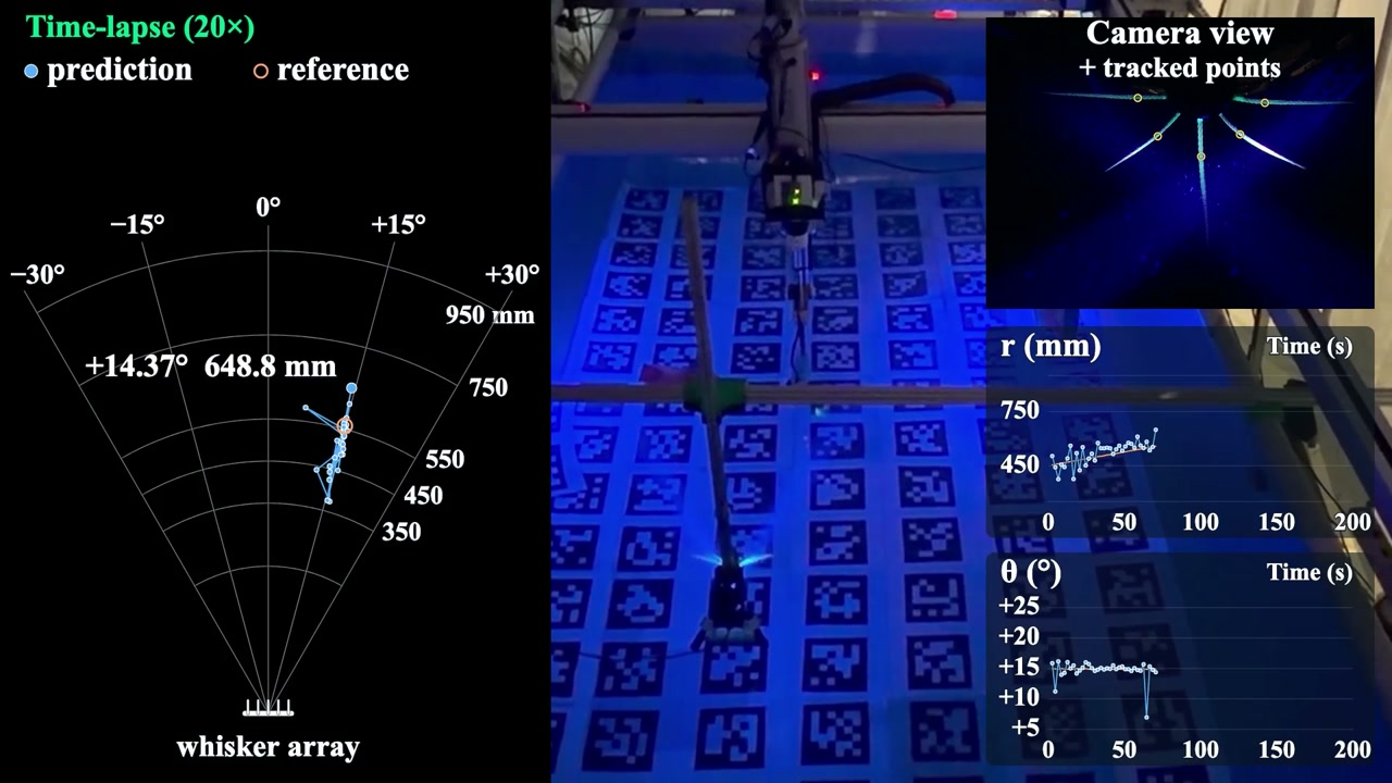 Fluorescent whiskers and vision-based tracking localize a moving underwater thruster